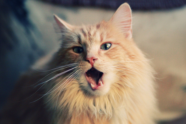 开云官方-科比退役纪念日：所有球迷永远铭记的篮坛传奇瞬间，科比退役仪式视频回顾