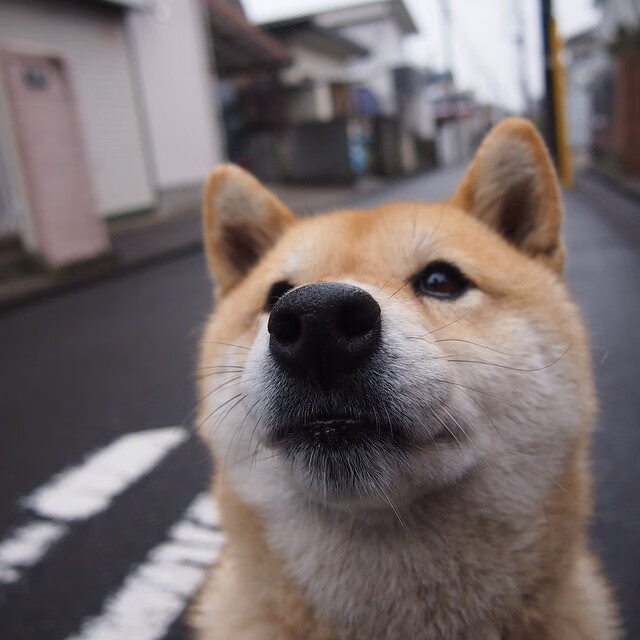 开云体育-体育球队与其他俱乐部建立合作关系，体育俱乐部足球队