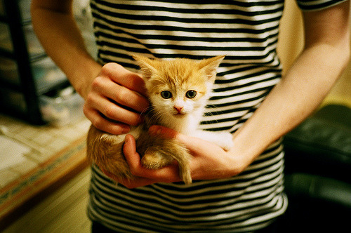 体育射手打破个人进球纪录,体育射手打破个人进球纪录是什么