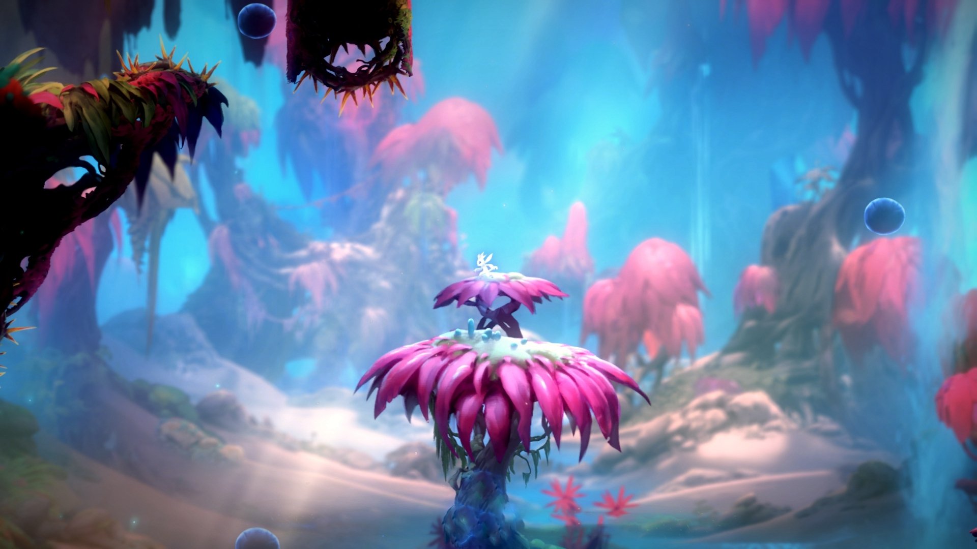 开云官方-洛杉矶FC与欧洲俱乐部达成友谊赛协议，洛杉矶fcvs