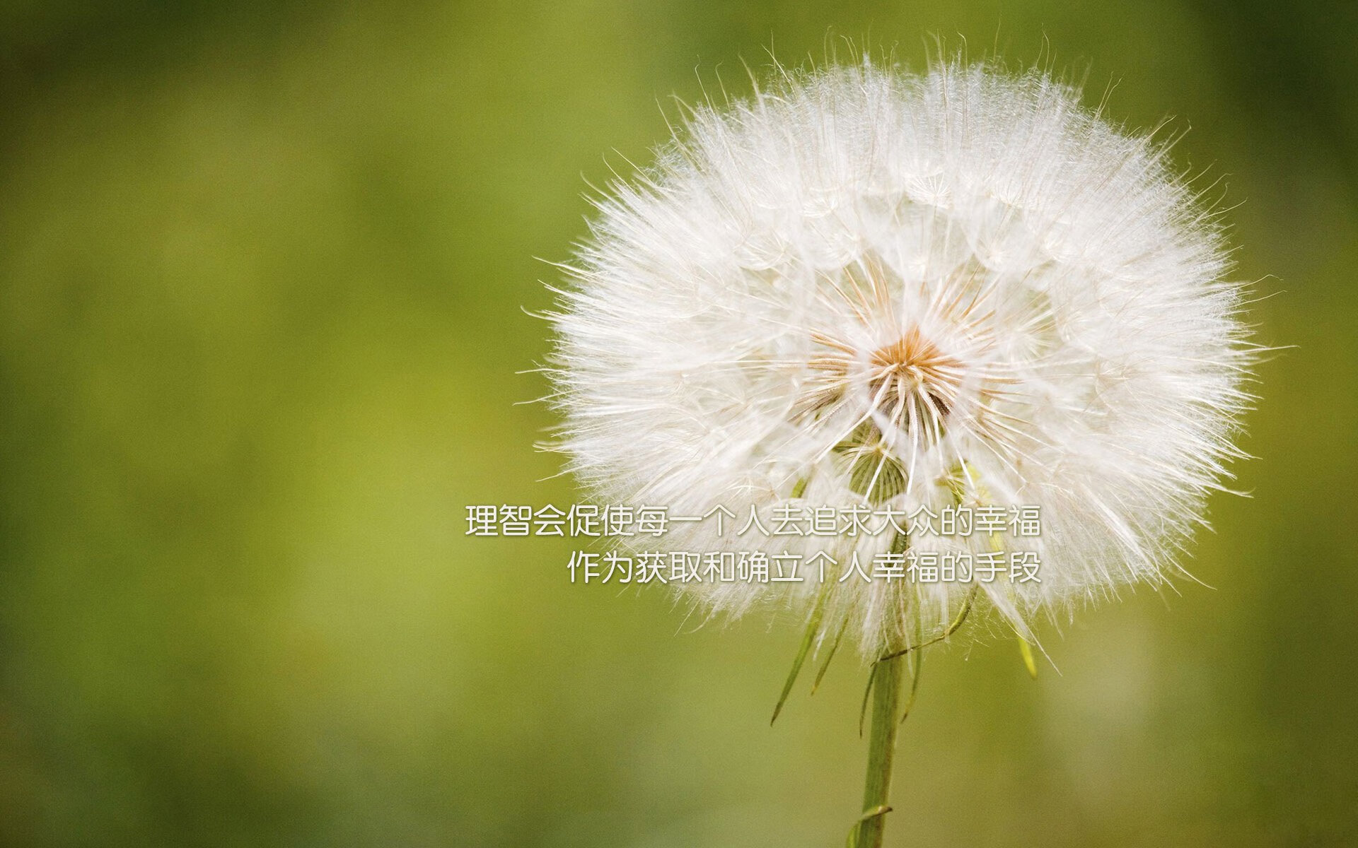 开云网站-热闹CBA篮球赛事即将拉开帷幕，球迷翘首期待，cba 篮球