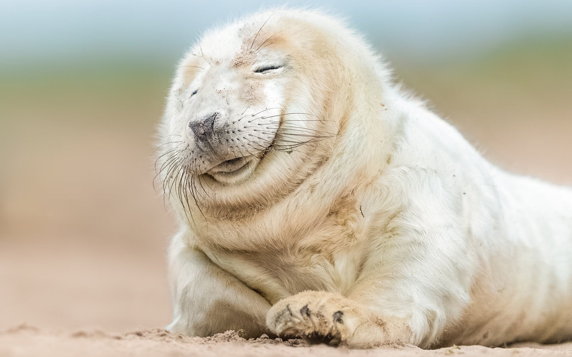 体育赛事创新发展模式,我国体育赛事的运作模式与建议