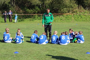 开云官方网站-德甲球队构建战术模拟平台辅助赛中调整，德甲模式