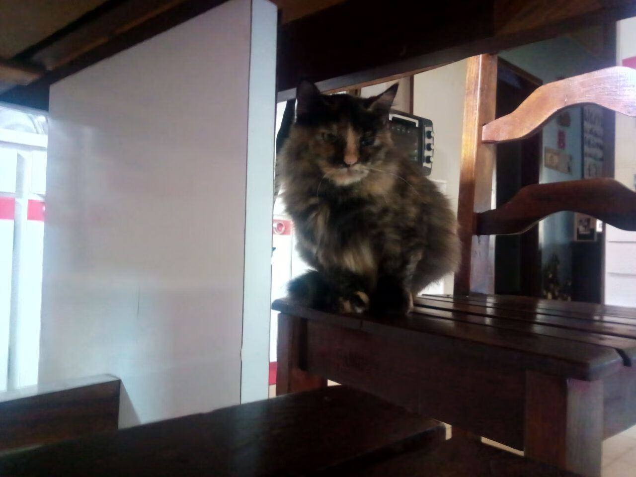 中超联赛中国队晋级 球迷群体积极互动,中超联赛所有队伍