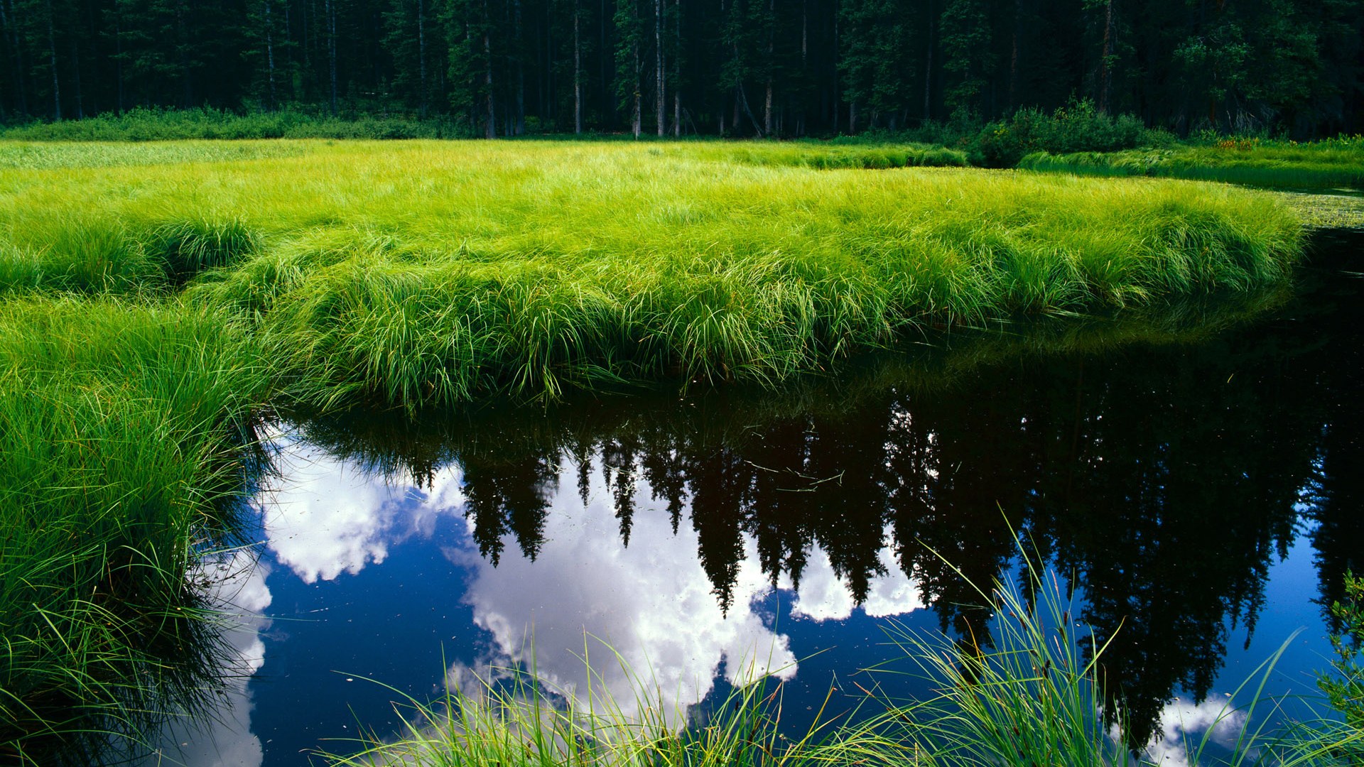 青少年运动技能挑战榜上线受热烈欢迎,中国青少年运动技能大赛
