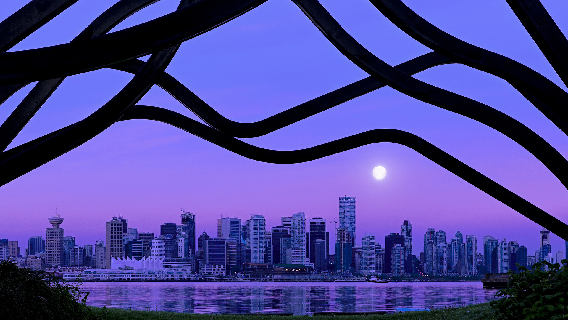 开云体育APP下载-仰泳赛场韩国选手步伐稳健，仰泳比赛视频