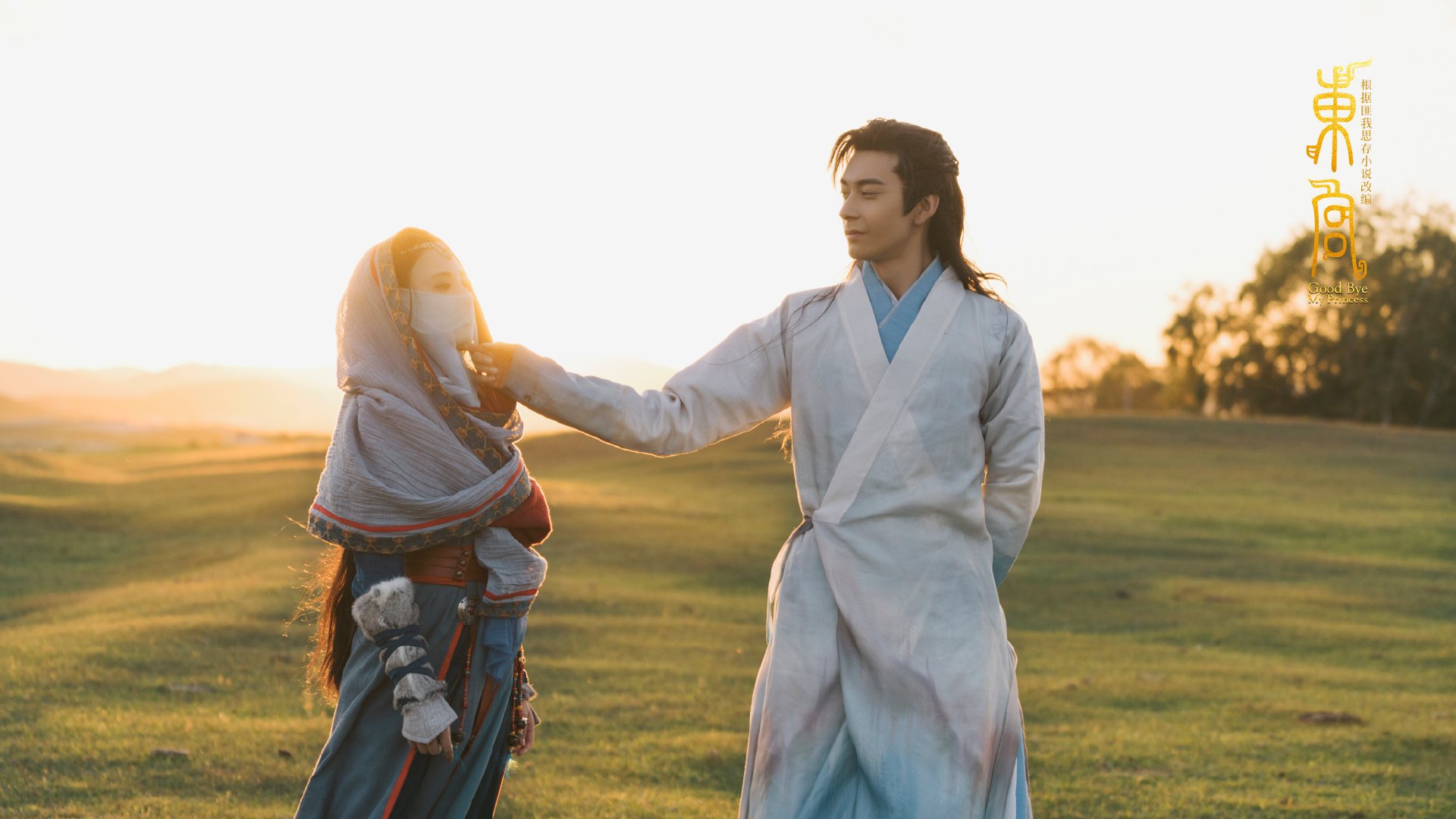 欧洲杯激戰連連:战术变化带来无限精彩,欧洲杯战场