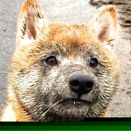 kaiyun开云·官方网站-法甲新锐崭露头角：未来之星绽放光芒！，世界足坛未来之星