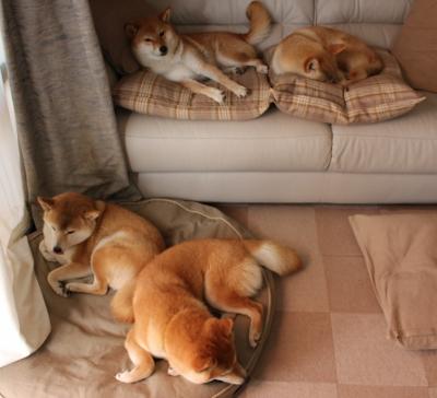 KAIYUNAPP-胡贝特·科斯决赛表现赢得教练点赞，胡安贝内特简介