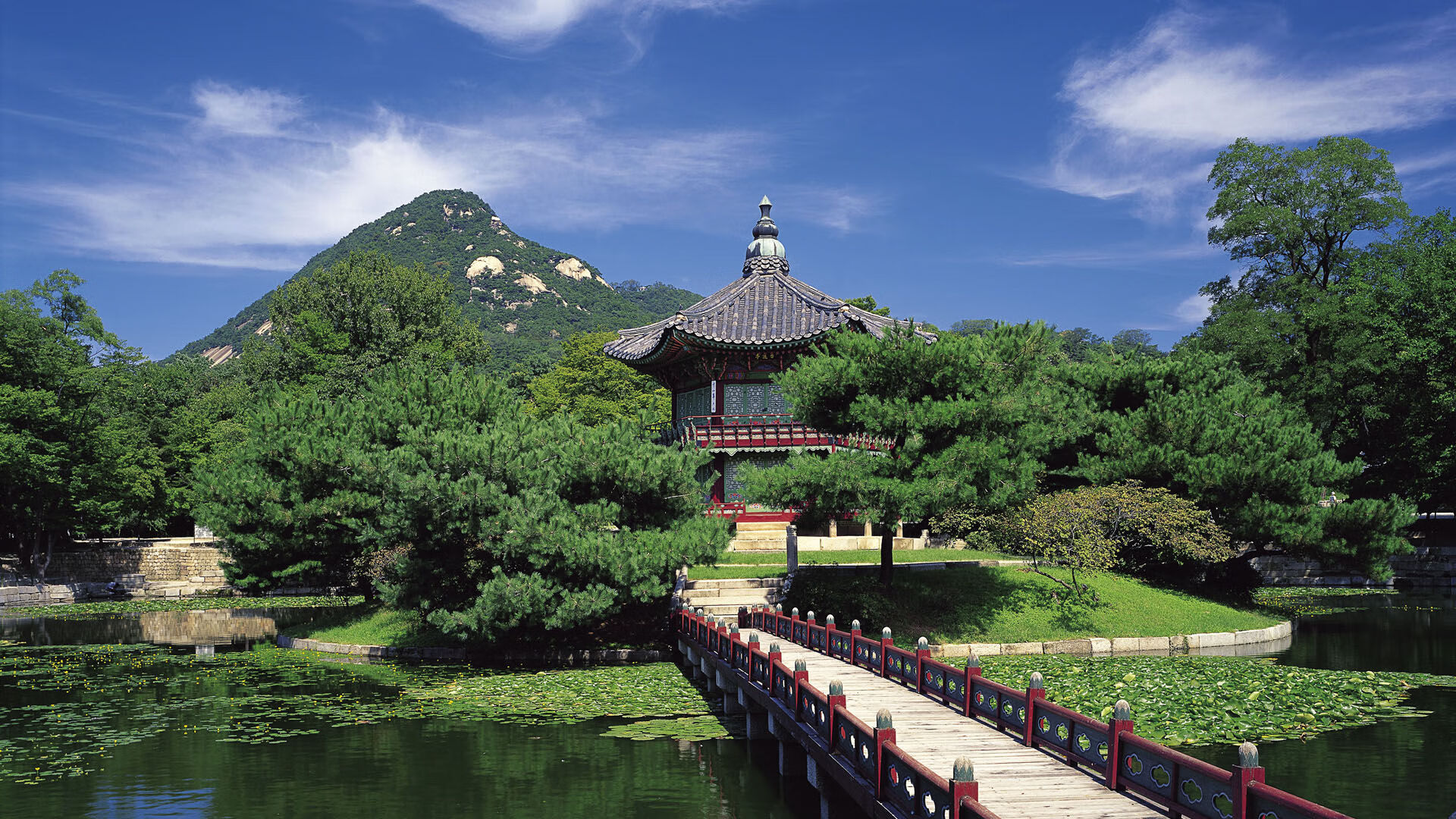 谷爱凌滑雪营首次开放公众报名,中国自由式滑雪选手谷爱凌介绍